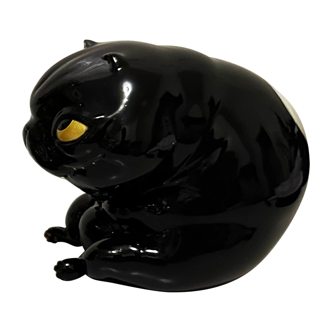 5 Points Fest 2023 - Billy Cat by Katarzyna Anyszkiewicz +