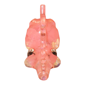 Peach Kiss Wrexy by Elusive Arts - Valentines Show Exclusive 76
